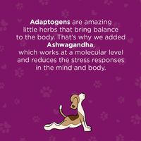 Gizzls Stress & Anxiety CBD Treats - Med/Large Dog